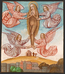 Cornelia van Wulfschkercke, Enluminure de Monotessaron