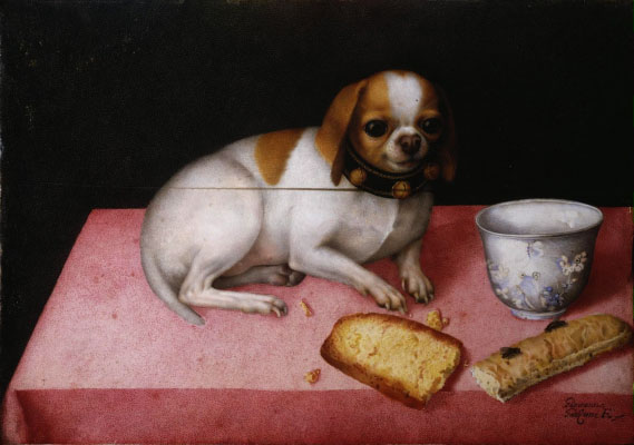 Giovanna Garzoni, Portrait d'un chien
