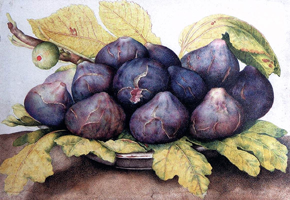 Giovanna Garzoni, Plateau de figues