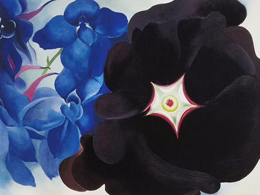 Georgia O'Keeffe, Rose trémière noire et pied-d'alouette bleue