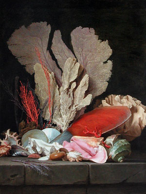 Anne Vallayer-Coster, Panaches de mer, lithophytes et coquilles