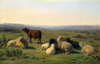 Juliette Bonheur, Moutons reposant dans le pré